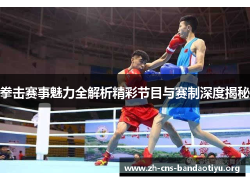 拳击赛事魅力全解析精彩节目与赛制深度揭秘 拳击赛事魅力全解析精彩节目与赛制深度揭秘