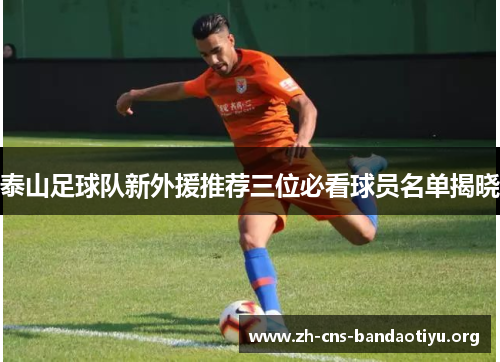 泰山足球队新外援推荐三位必看球员名单揭晓 泰山足球队新外援推荐三位必看球员名单揭晓