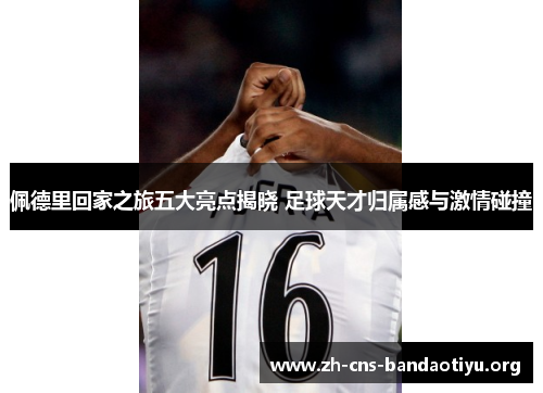 佩德里回家之旅五大亮点揭晓 足球天才归属感与激情碰撞 佩德里回家之旅五大亮点揭晓 足球天才归属感与激情碰撞