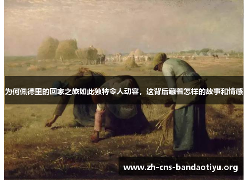 为何佩德里的回家之旅如此独特令人动容,这背后藏着怎样的故事和情感 为何佩德里的回家之旅如此独特令人动容,这背后藏着怎样的故事和情感