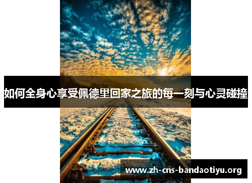 如何全身心享受佩德里回家之旅的每一刻与心灵碰撞 如何全身心享受佩德里回家之旅的每一刻与心灵碰撞