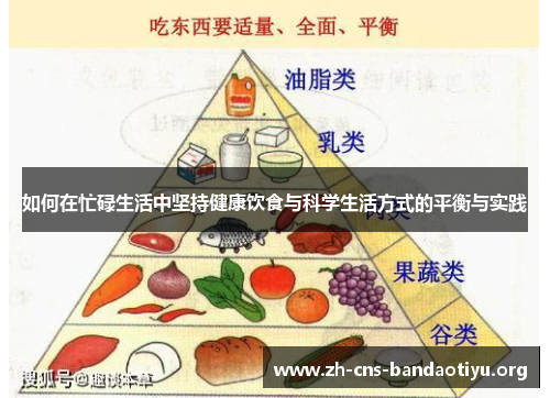 如何在忙碌生活中坚持健康饮食与科学生活方式的平衡与实践 如何在忙碌生活中坚持健康饮食与科学生活方式的平衡与实践