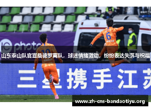 山东泰山队官宣桑德罗离队,球迷情绪激动,纷纷表达失落与祝福 山东泰山队官宣桑德罗离队,球迷情绪激动,纷纷表达失落与祝福