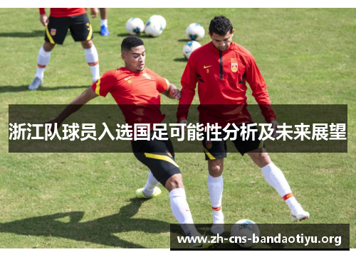 浙江队球员入选国足可能性分析及未来展望 浙江队球员入选国足可能性分析及未来展望
