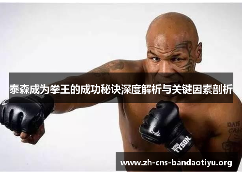 泰森成为拳王的成功秘诀深度解析与关键因素剖析 泰森成为拳王的成功秘诀深度解析与关键因素剖析