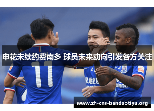 申花未续约费南多 球员未来动向引发各方关注 申花未续约费南多 球员未来动向引发各方关注