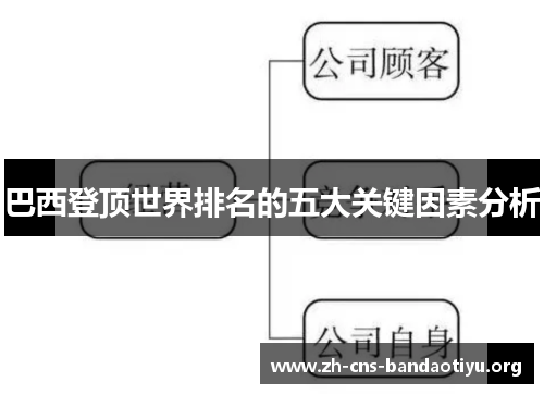 巴西登顶世界排名的五大关键因素分析 巴西登顶世界排名的五大关键因素分析